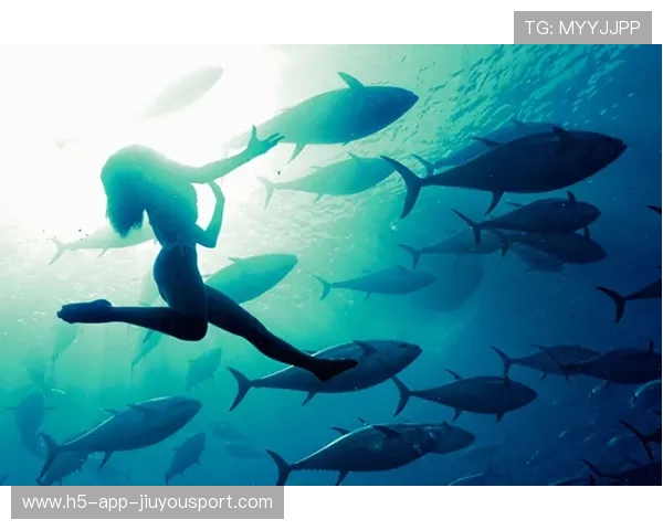 花样游泳队水下全息拍摄震撼全球