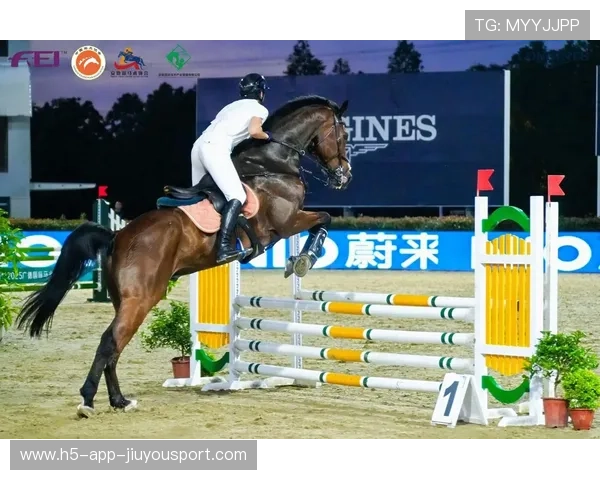 马术选手失误却与马一起跳，上演暖心乌龙