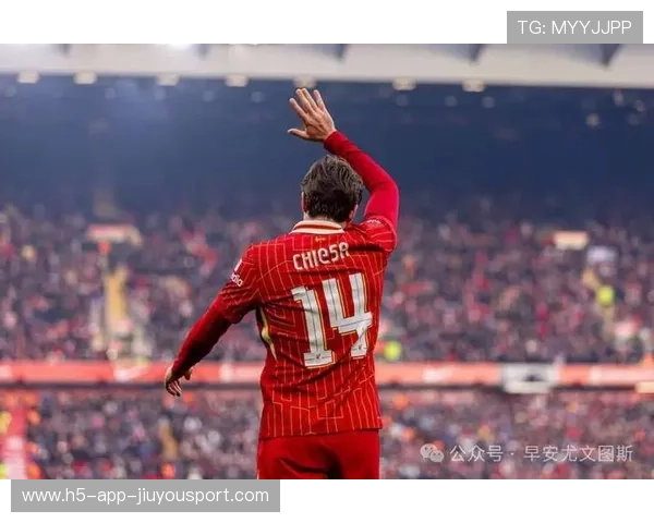 本菲卡替补上场即建功，体现板凳深度，本菲卡强吗